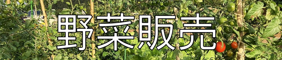 旬の野菜半額販売１